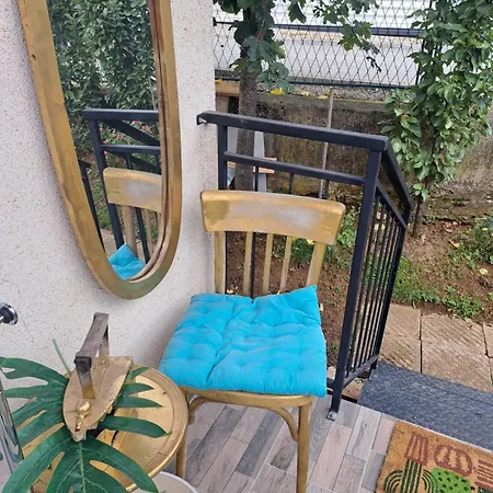 Viktorija Josanicka Banja