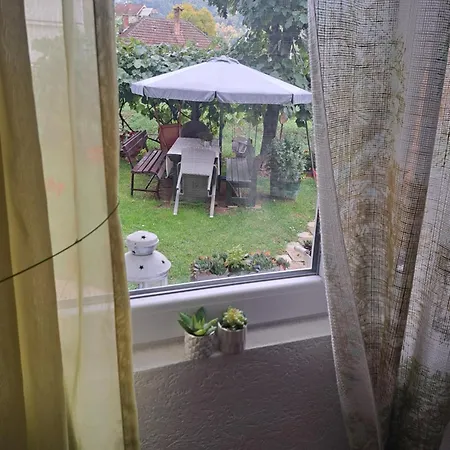 Viktorija Apartament *